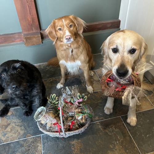 Orange and cranberry