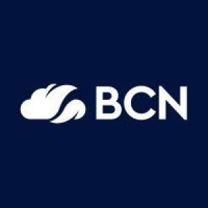 BCN Group Logo