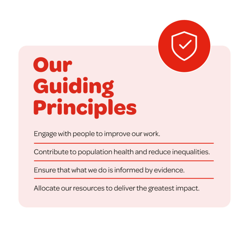 NICHS Strategy Web Graphics Principles