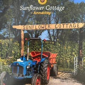 Sunflower cottage