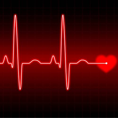 ECG Heart Wave